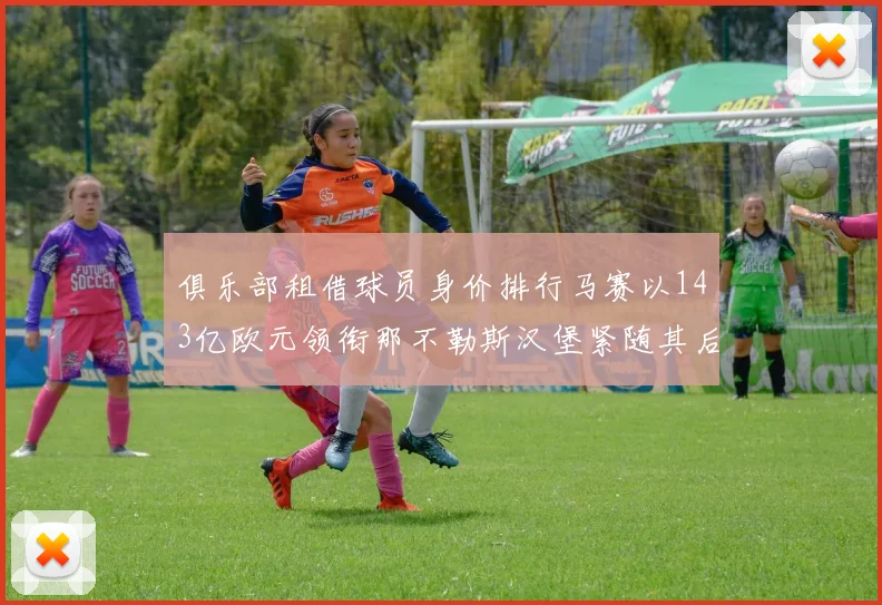 俱乐部租借球员身价排行马赛以143亿欧元领衔那不勒斯汉堡紧随其后