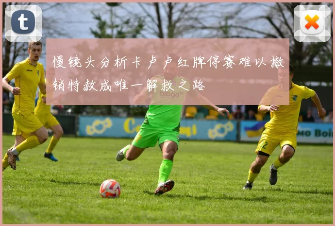 慢镜头分析卡卢卢红牌停赛难以撤销特赦成唯一解救之路